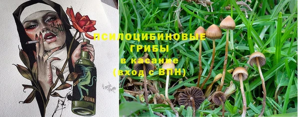 бутират Кодинск