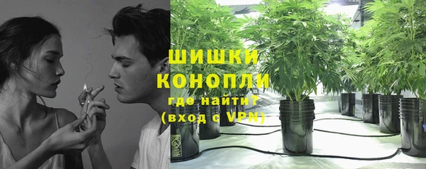 прущие крисы Козельск